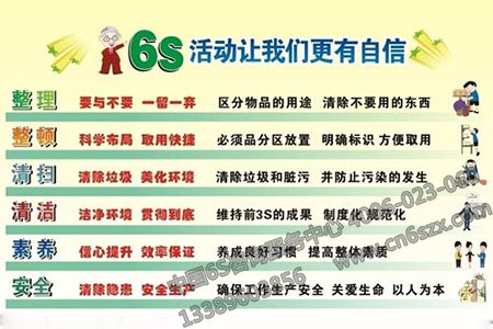 關于企業(yè)全面推行6S管理行動方案